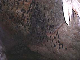 �R�E�������A