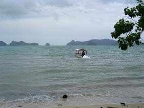 �v���������O���֏㗤