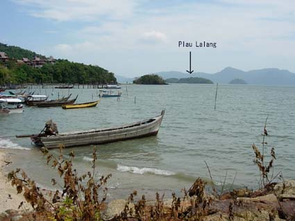 �D�����ꂩ�烉�����O��������