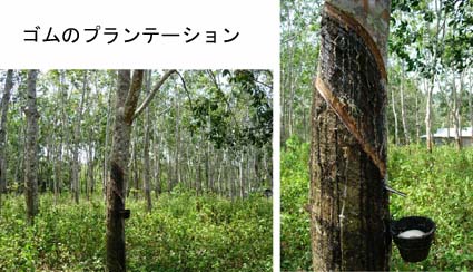 ���n�̓S���̃v�����e�[�V����������