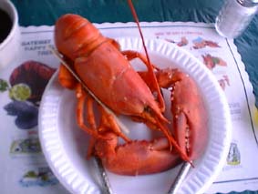 Lobster poundłłĂuX^[